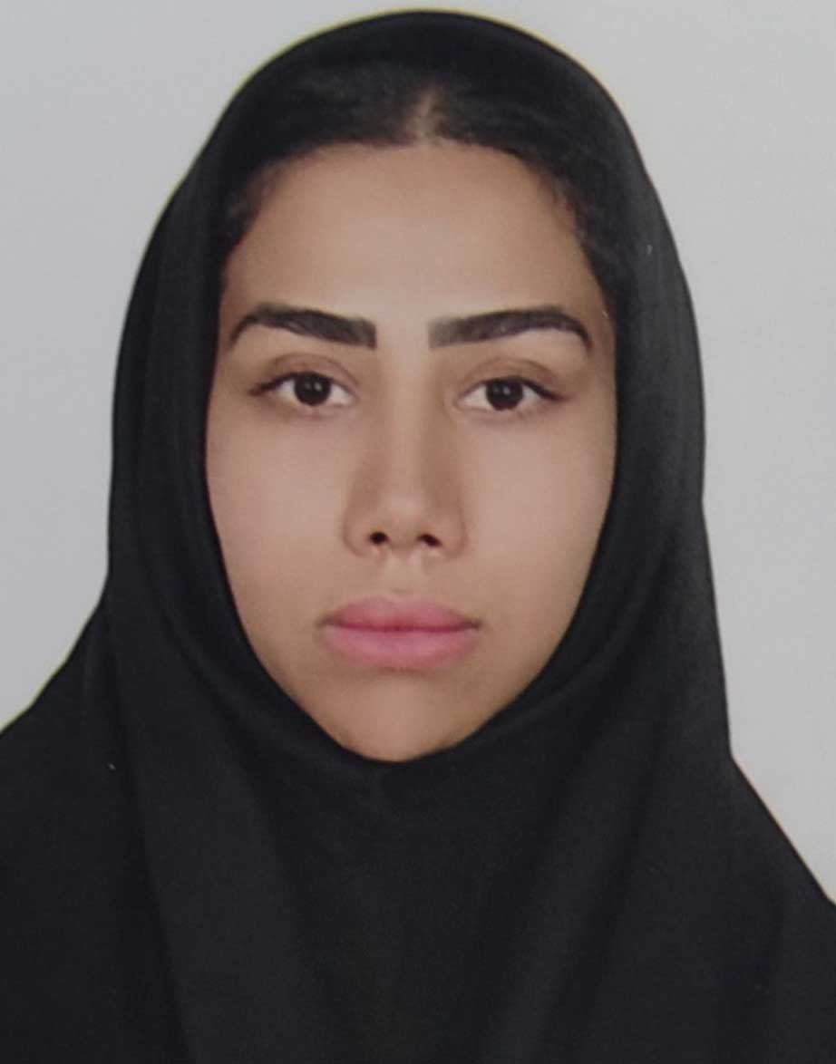 انتخابات شوراهای اسلامی شهر و روستا به‌صورت تمام‌الکترونیکی برگزار می شود